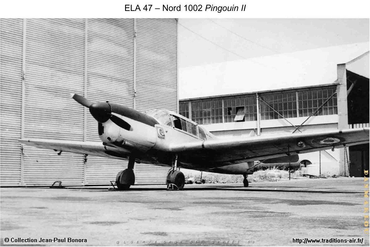 174- ARMEE DE L'AIR EN ALGERIE 1945-1962-22 (52).jpg